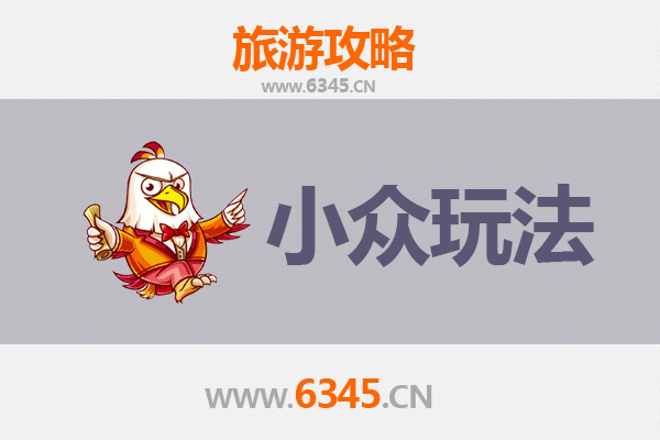 厦门湖里区小众玩法深度游：解锁隐藏的艺术角落与市井风情